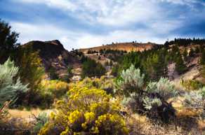 John Day Painted Hills-3745